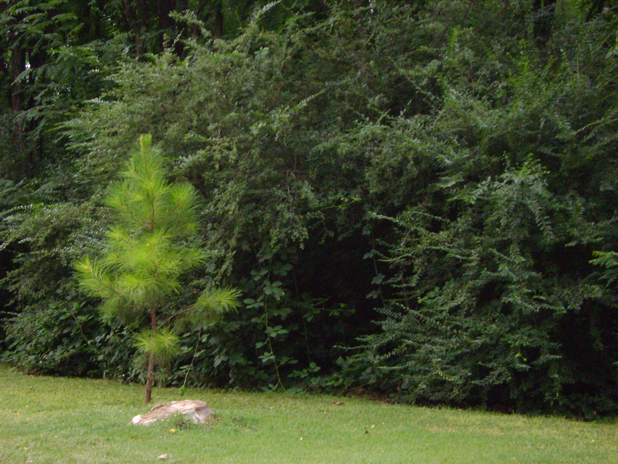 fotos/2011 - Los Reartes/DSC03494.JPG